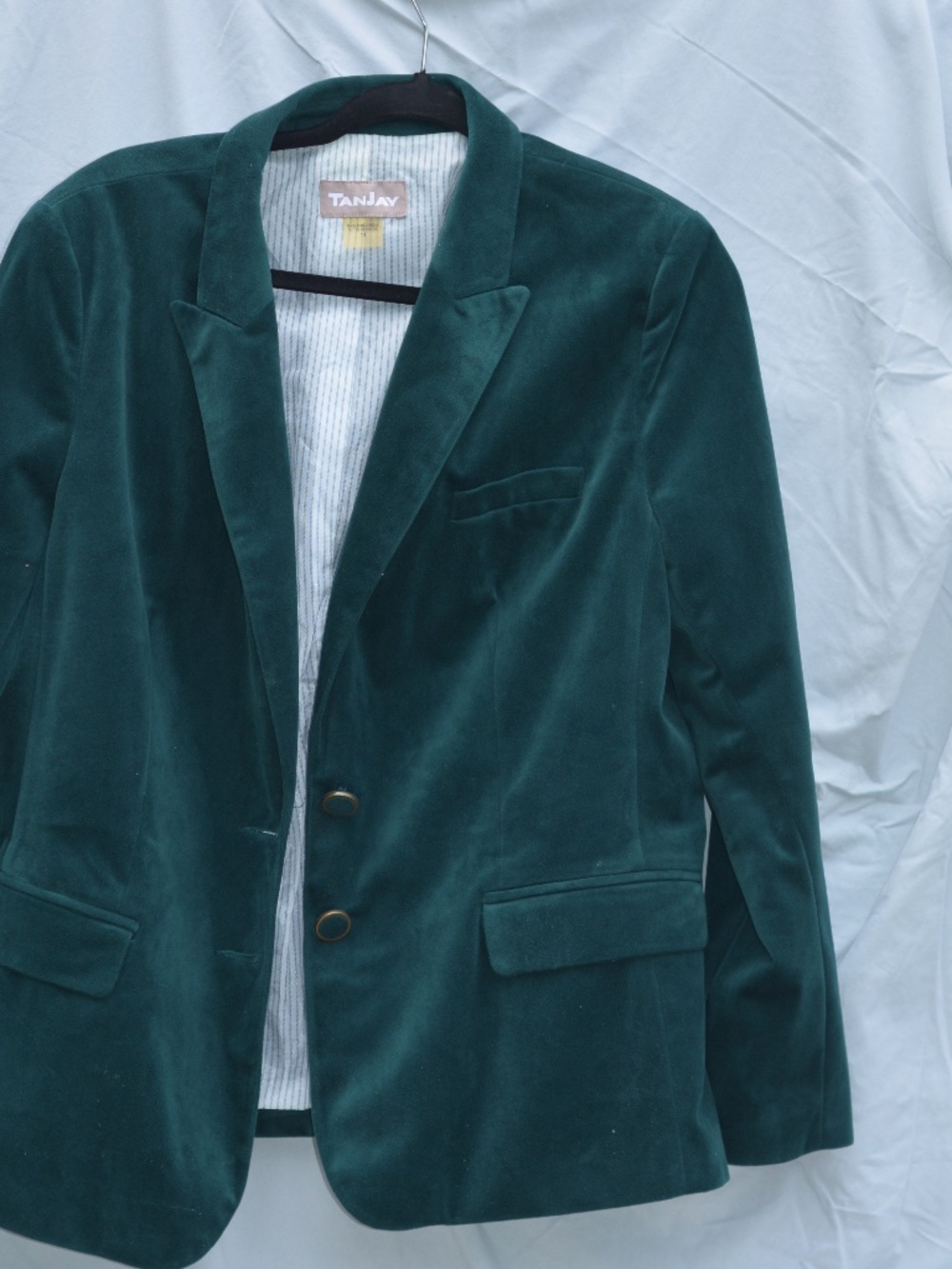 Velvet Blazer TANJAY SZ 14